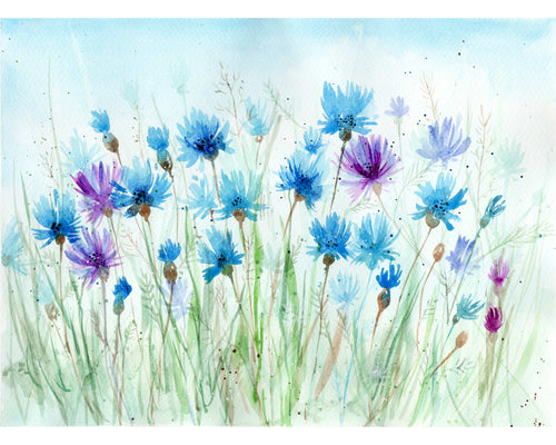 Cornflowers watercolor card