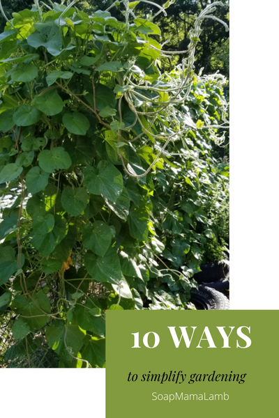 Ten ways to make gardening simpler