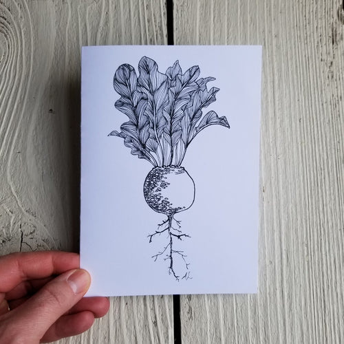 Garden Beets pen & ink card